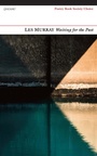 Cover: Waiting for the Past - Carcanet Poetry