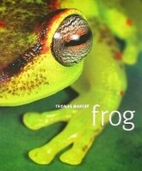 Enlarge image Cover: Frog - DK Publishing (Dorling Kindersley)