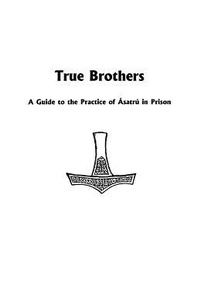Enlarge image Cover: True Brothers - Lodestar Books