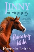 Cover: Jinny at Finmory - Catnip Publishing Ltd
