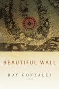 Cover: Beautiful Wall - BOA Editions Ltd.