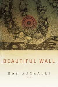 Enlarge image Cover: Beautiful Wall - BOA Editions Ltd.