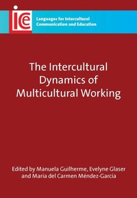 Enlarge image Cover: The Intercultural Dynamics of Multicultural Working - Multilingual Matters