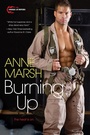 Cover: Burning Up - Brava
