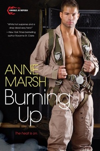 Enlarge image Cover: Burning Up - Brava