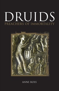 Abbildung von: Druids - The History Press Ltd