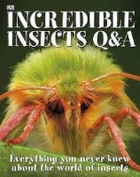 Enlarge image Cover: Incredible Insects Q & A - DK Publishing (Dorling Kindersley)