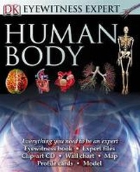 Enlarge image Cover: Human Body - DK Publishing (Dorling Kindersley)