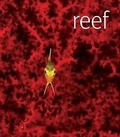 Cover: Reef - DK Publishing (Dorling Kindersley)