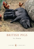 Cover: British Pigs - Shire Publications
