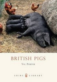Abbildung von: British Pigs - Shire Publications