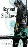 Cover: Beyond The Shadows - Orbit
