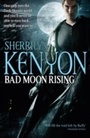 Cover: Bad Moon Rising - Piatkus Books