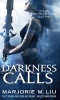 Cover: Darkness Calls - Orbit