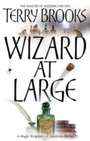 Cover: Wizard At Large - Orbit