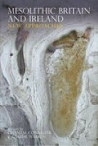 Enlarge image Cover: Mesolithic Britain and Ireland - The History Press Ltd