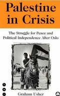 Cover: Palestine in Crisis - Pluto Press