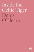 Cover: Inside the Celtic Tiger - Pluto Press