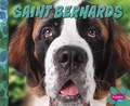 Cover: Saint Bernards - Capstone Press
