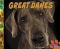Cover: Great Danes - Capstone Press