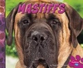 Cover: Mastiffs - Capstone Press