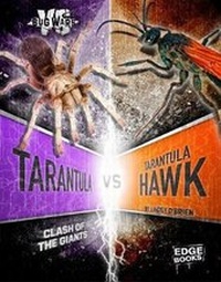 Enlarge image Cover: Tarantula VS Tarantula Hawk - Capstone Press