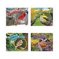 Enlarge image Cover: Backyard Birds - Capstone Press