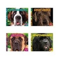 Cover: Big Dogs - Capstone Press