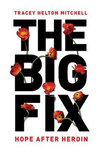 Enlarge image Cover: The Big Fix - Seal Press