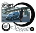 Cover: The Smart Scene - The History Press Ltd