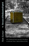 Cover: Rescue of Undaunted Spirit - Pam Kumpe