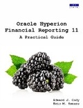 Cover: Oracle Hyperion Financial Reporting 11 - P8tech