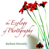 Abbildung von: The Ecology of Photography - Madison Avenue Publishers LLC