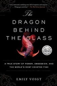 Abbildung von: The Dragon Behind the Glass - Scribner
