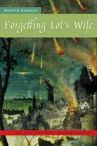 Enlarge image Cover: Forgetting Lot's Wife - Fordham University Press