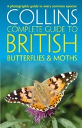Cover: British Butterflies and Moths - William Collins