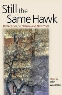 Abbildung von: Still the Same Hawk - Fordham University Press