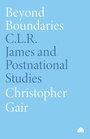 Cover: Beyond Boundaries - Pluto Press