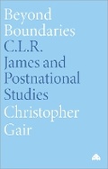 Cover: Beyond Boundaries - Pluto Press