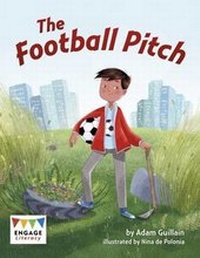 Enlarge image Cover: The Football Pitch - Raintree
