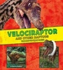 Cover: Velociraptor and Other Raptors - Raintree