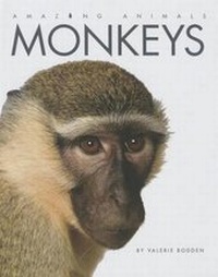 Enlarge image Cover: Monkeys - Perfection Learning