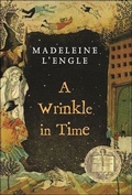 Cover: Wrinkle in Time - Perfection Learning