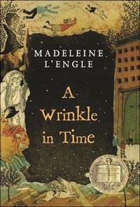 Enlarge image Cover: Wrinkle in Time - Perfection Learning