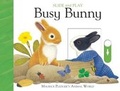 Cover: Slide & Play: Busy Bunny - Silver Dolphin Books