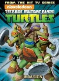 Cover: Teenage Mutant Ninja Turtles Animated Volume 7: The Invasion - Idea & Design Works