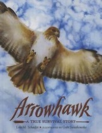 Enlarge image Cover: Arrowhawk - Perfection Learning