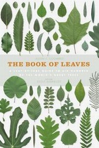 Enlarge image Cover: The Book of Leaves - Ivy Press