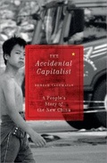 Cover: The Accidental Capitalist - Pluto Press