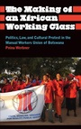 Cover: The Making of an African Working Class - Pluto Press